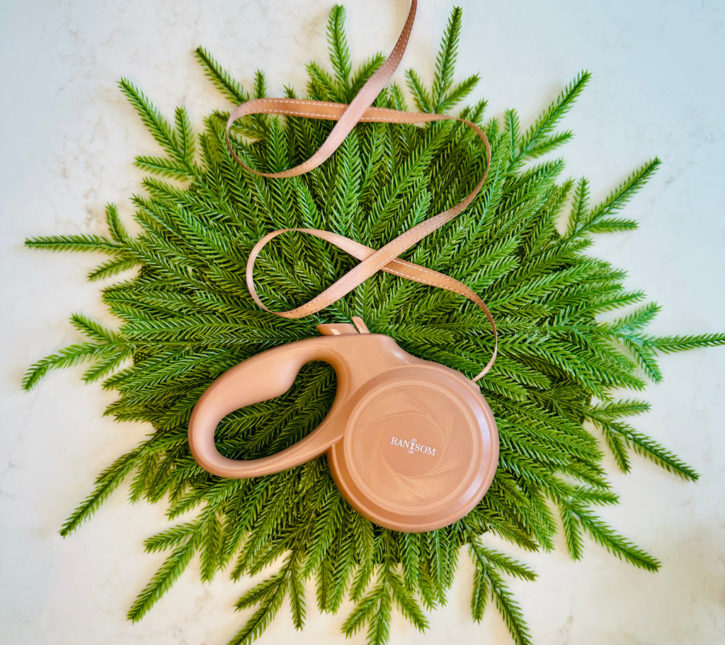 Luxury neutral tone brown retractable dog leash by RANSOM 20:28 styled on natural greenery