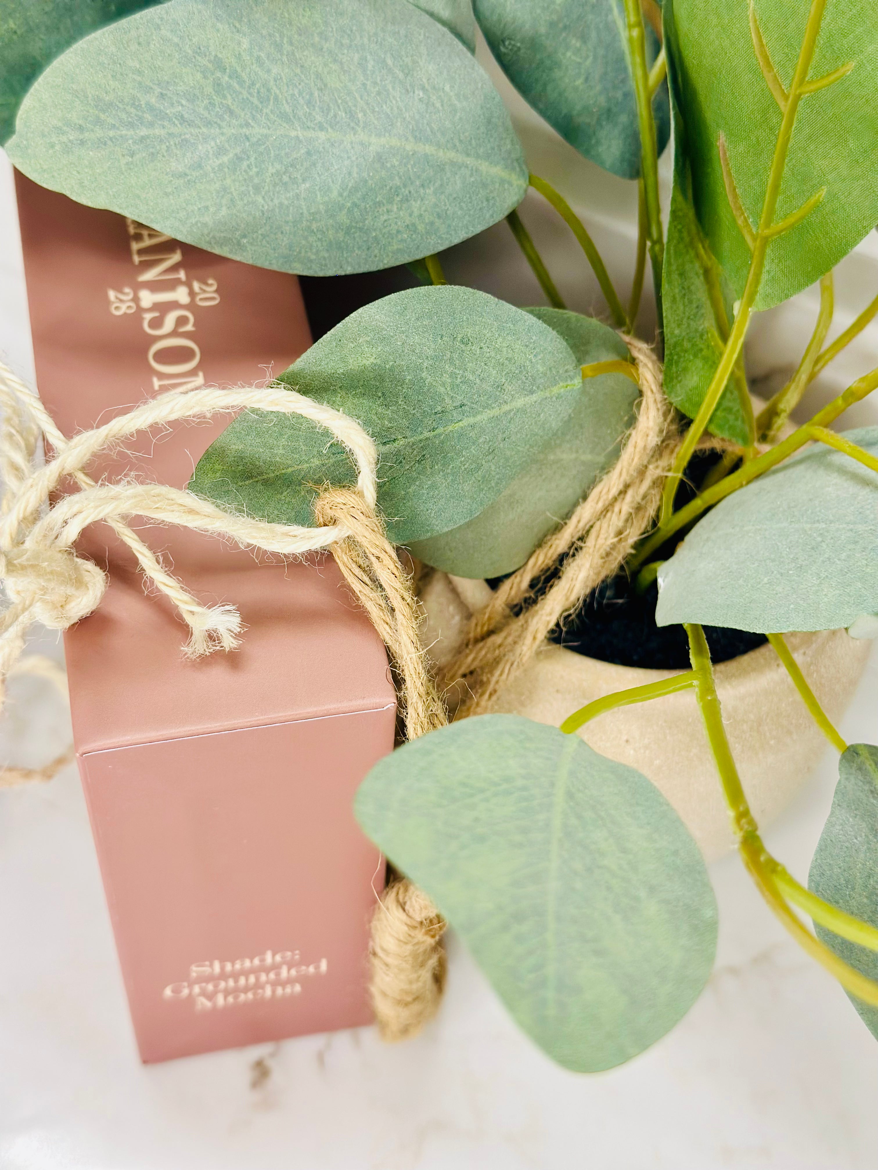 Premium luxury retractable dog leash packaging by RANSOM 20:28 surrounded by green leaves.