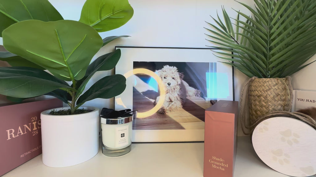 Grounded Mocha Retractable Dog Leash